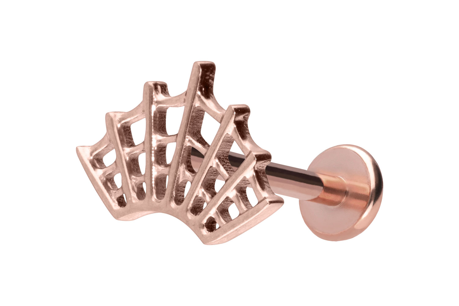 Titan Labret Piercing mit Push Fit SPINNENNETZ